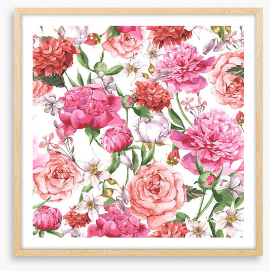 Peonies and Roses