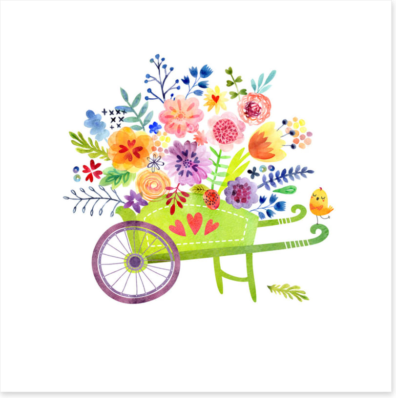 Wheelbarrow joy