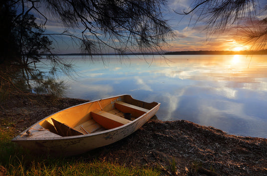 New shores