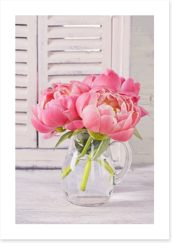 Peonies by the window