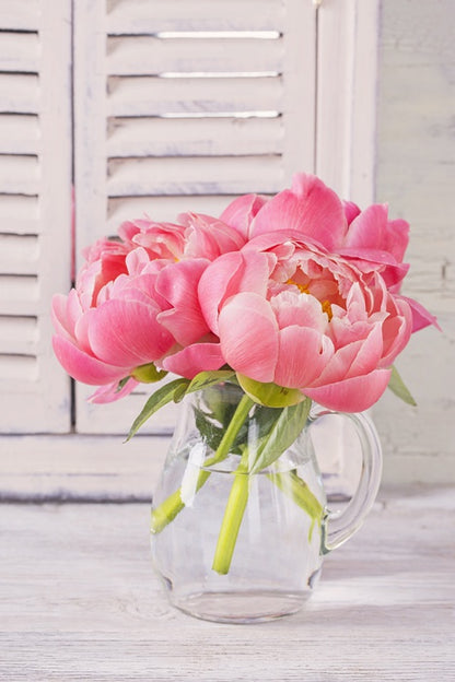 Peonies by the window