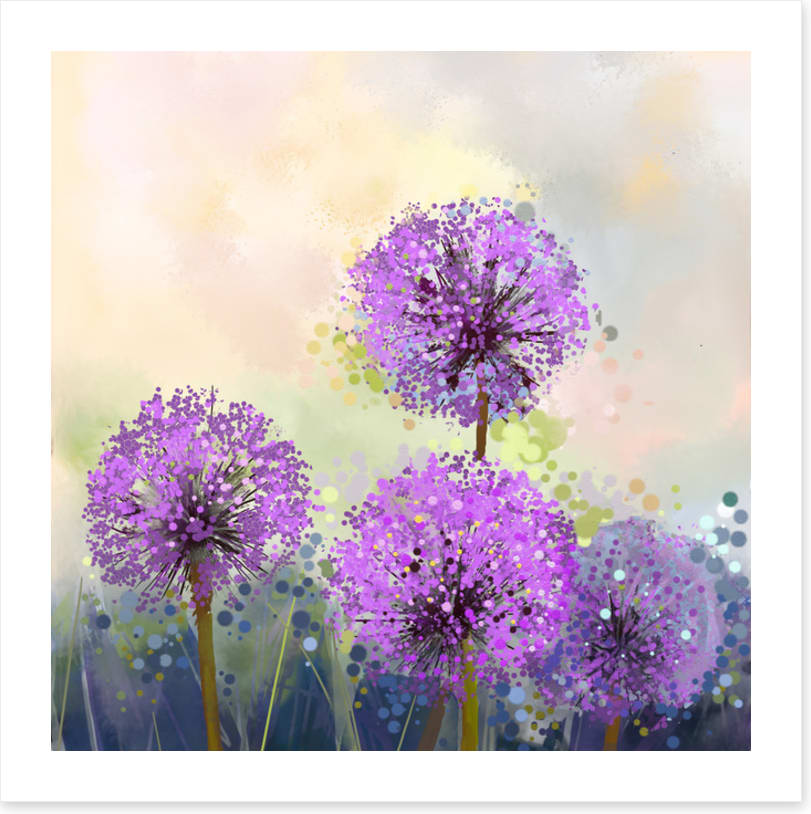Allium allure
