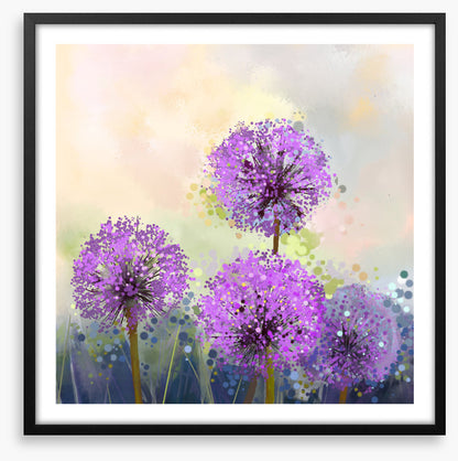 Allium allure
