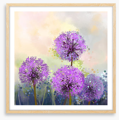 Allium allure