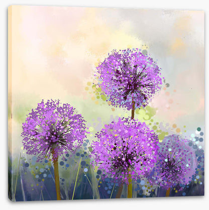 Allium allure