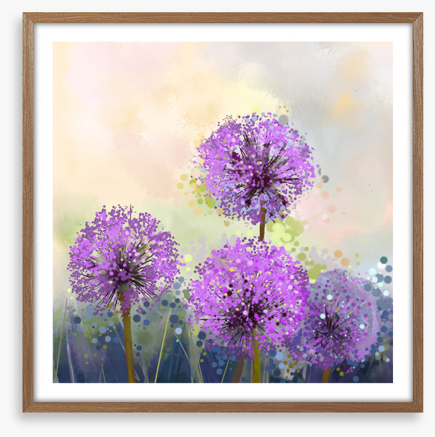 Allium allure