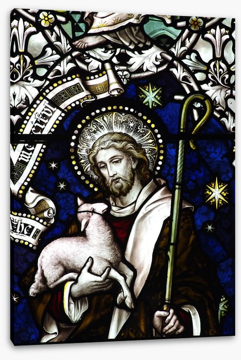 The good shepherd