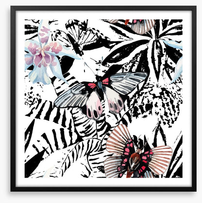 Butterflies