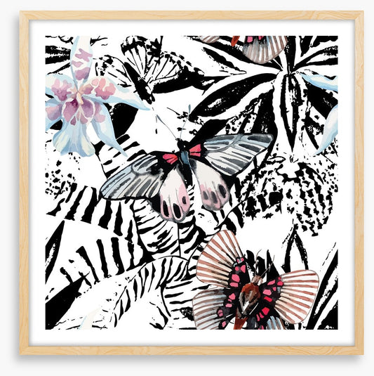 Butterflies
