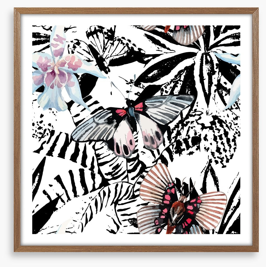 Butterflies