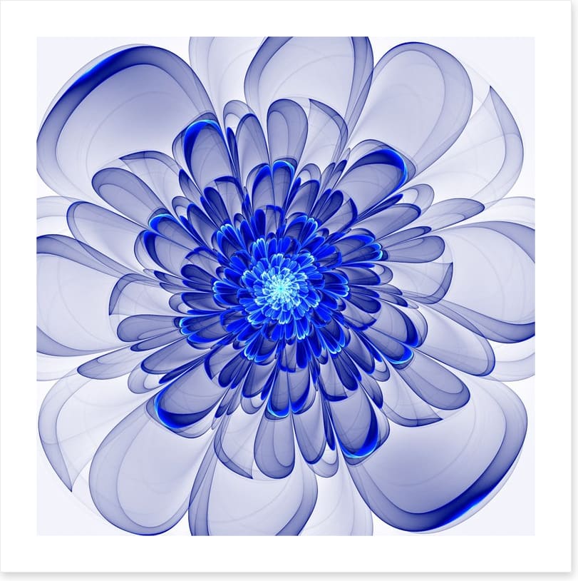 Indigo bloom