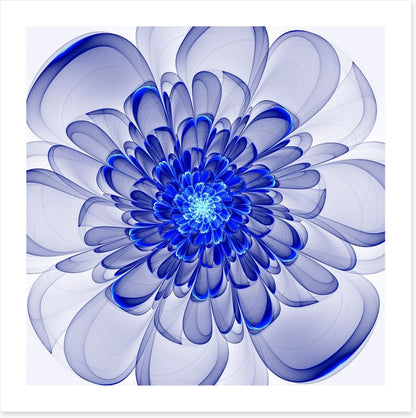 Indigo bloom