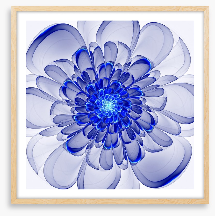 Indigo bloom