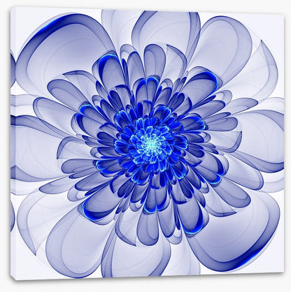 Indigo bloom
