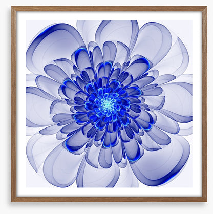 Indigo bloom