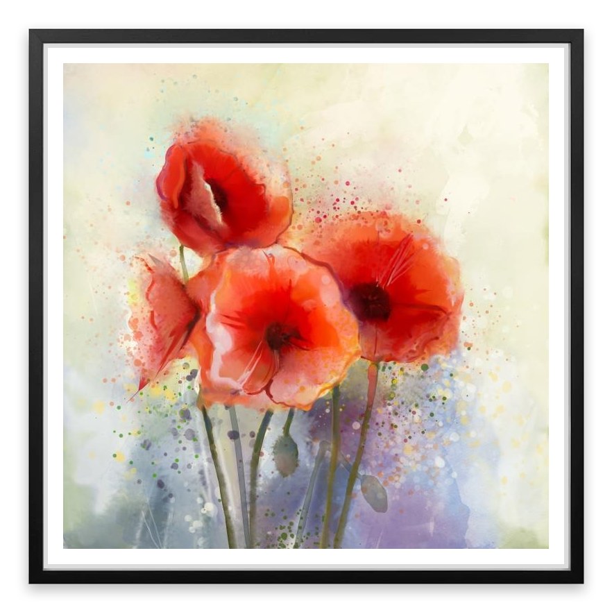 Red poppy splash
