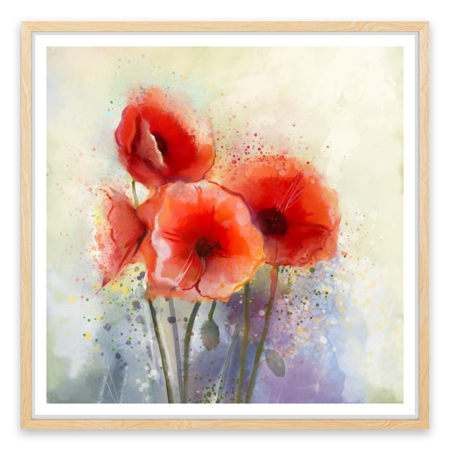 Red poppy splash