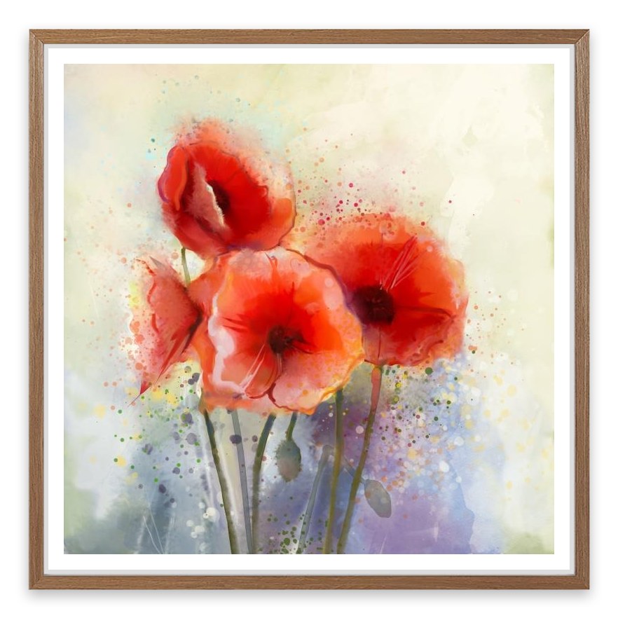 Red poppy splash
