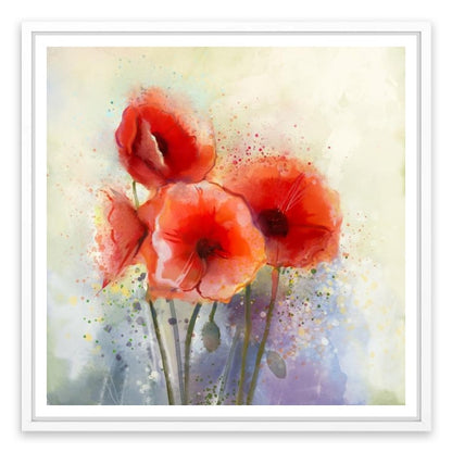 Red poppy splash