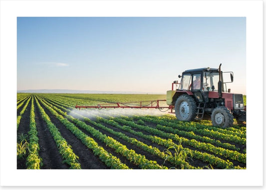 Agriculture