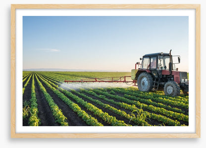 Agriculture