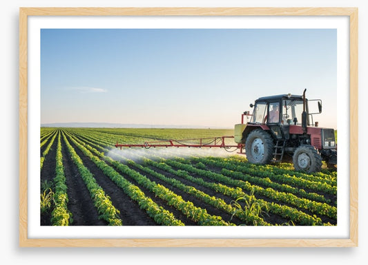 Agriculture