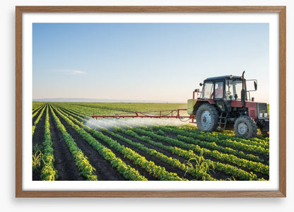 Agriculture