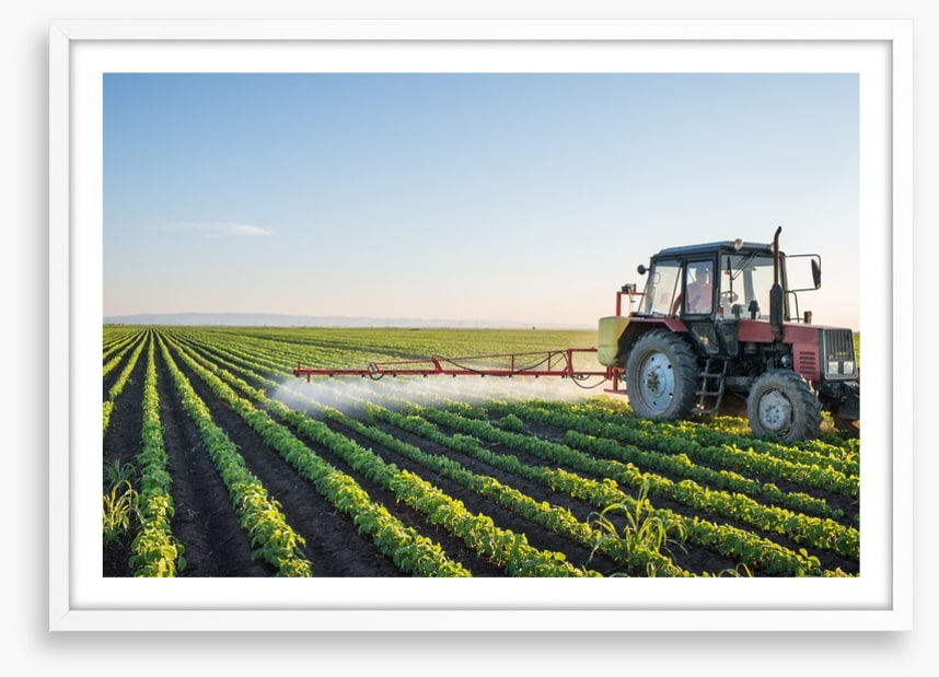 Agriculture