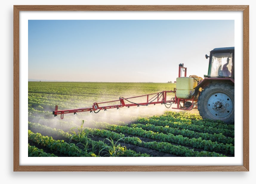 Agriculture