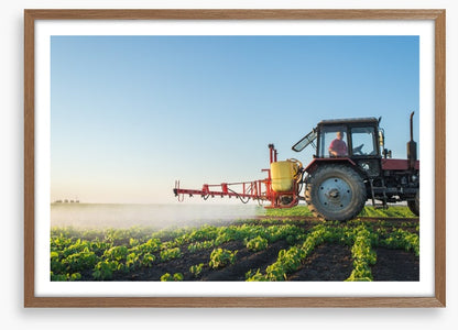 Agriculture