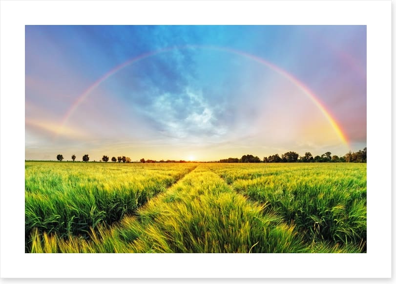 Harvest blessings