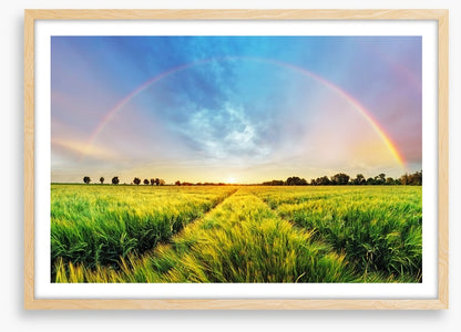 Harvest blessings