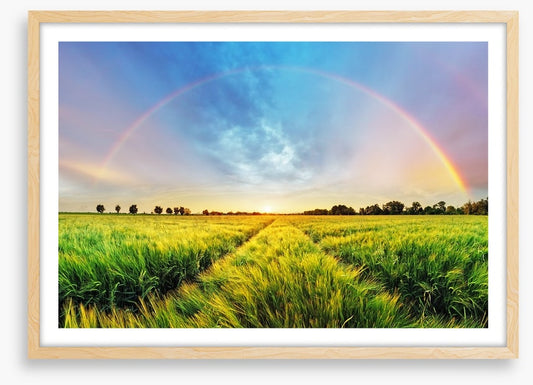 Harvest blessings