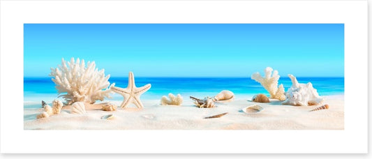 Shells on the beach panorama