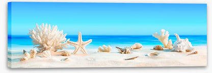 Shells on the beach panorama