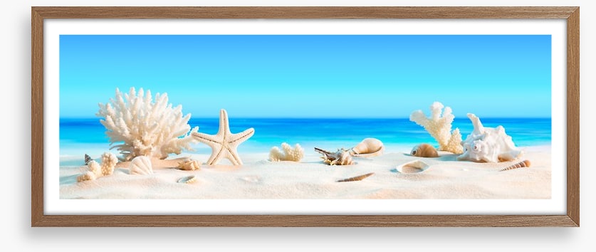Shells on the beach panorama