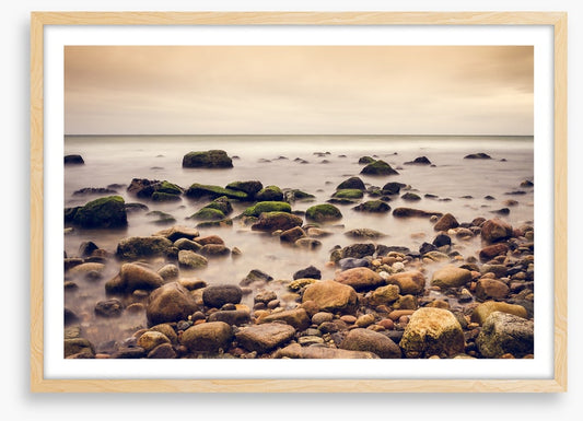 Rugged rock shore