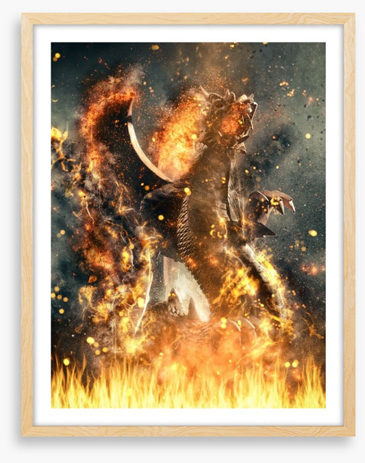 Dragons