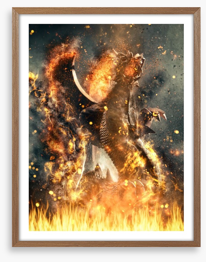 Dragons