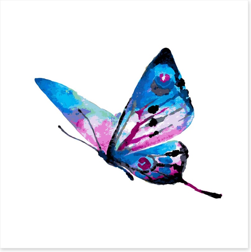 Watercolour wings