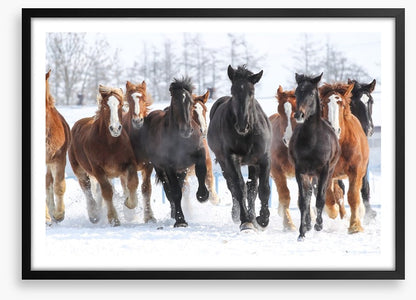 Winter gallop
