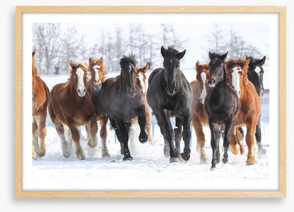 Winter gallop