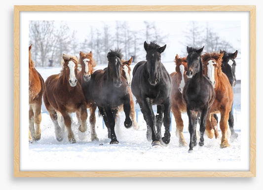 Winter gallop