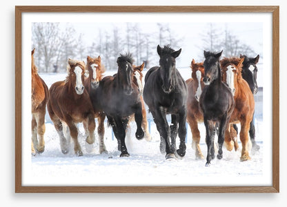 Winter gallop