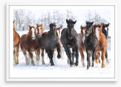 Winter gallop