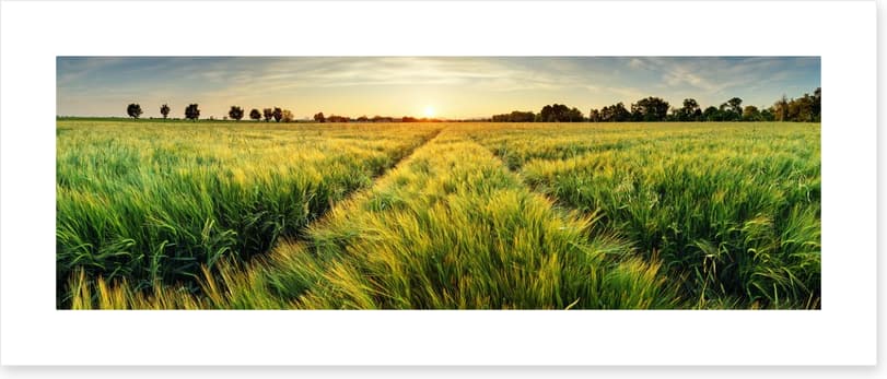 Agriculture