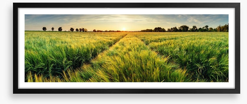 Agriculture