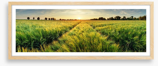 Agriculture