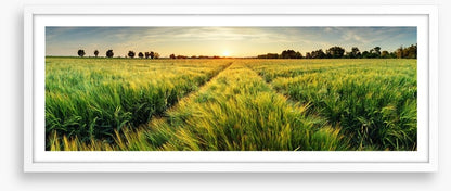 Agriculture