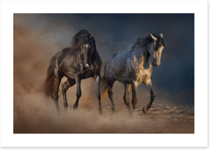 Horses in the desert dust